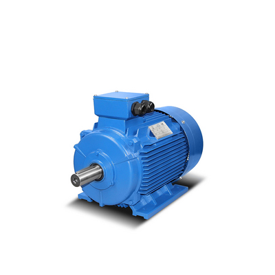  Cast Iron - Electric Motors  4kW - 500kW