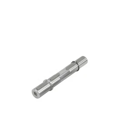 Output shafts both-sides for worm gear motors