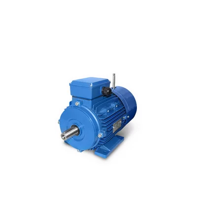 Brake Motors 0.12kW - 7.5kW