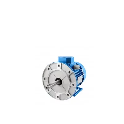 Special Motors with Shaft extention 