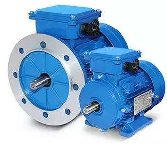 Worm geared motors